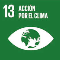 logo Ods 13 Acción Por El Clima nwo