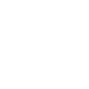 SQM Lithium | Sustainable Mining for Electromobility